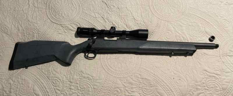Remington 700 in 308