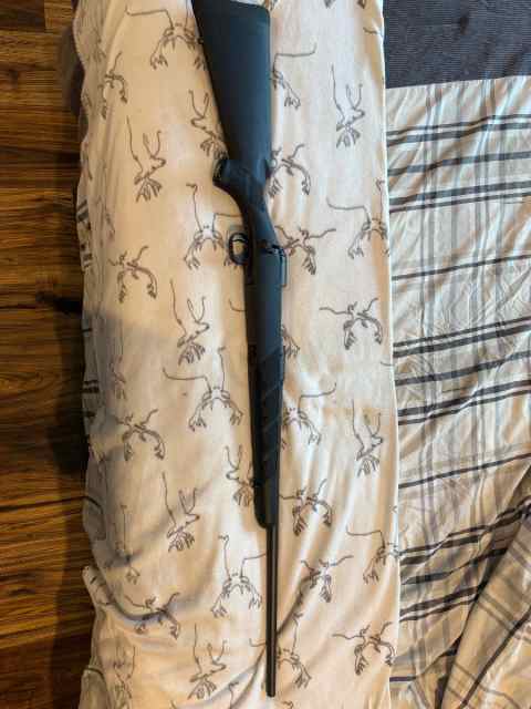 Savage 111 trophy hunter 270 win